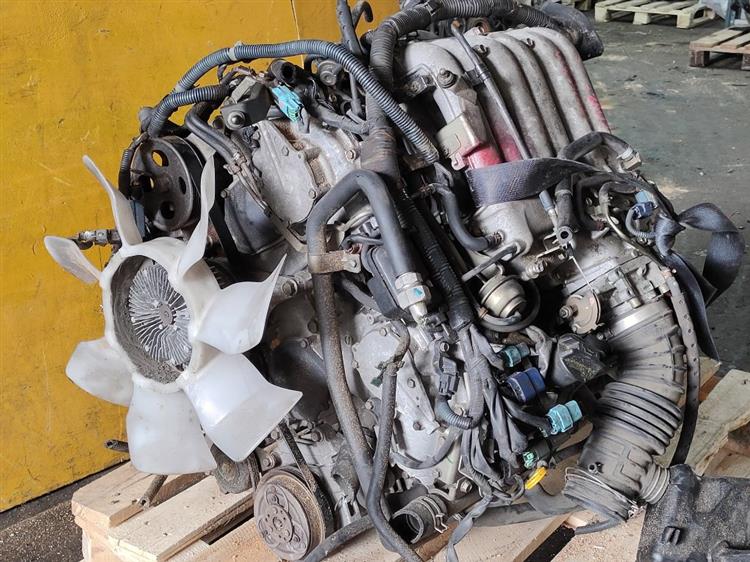 Двигатель Ниссан Эльгранд в Нижнеудинске 51254